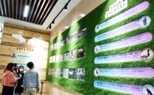 巢湖半島國(guó)家濕地公園鳥類科普展館